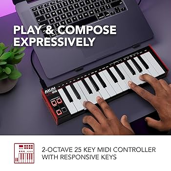 Amazon.com: AKAI Professional LPK25 - USB MIDI Keyboard